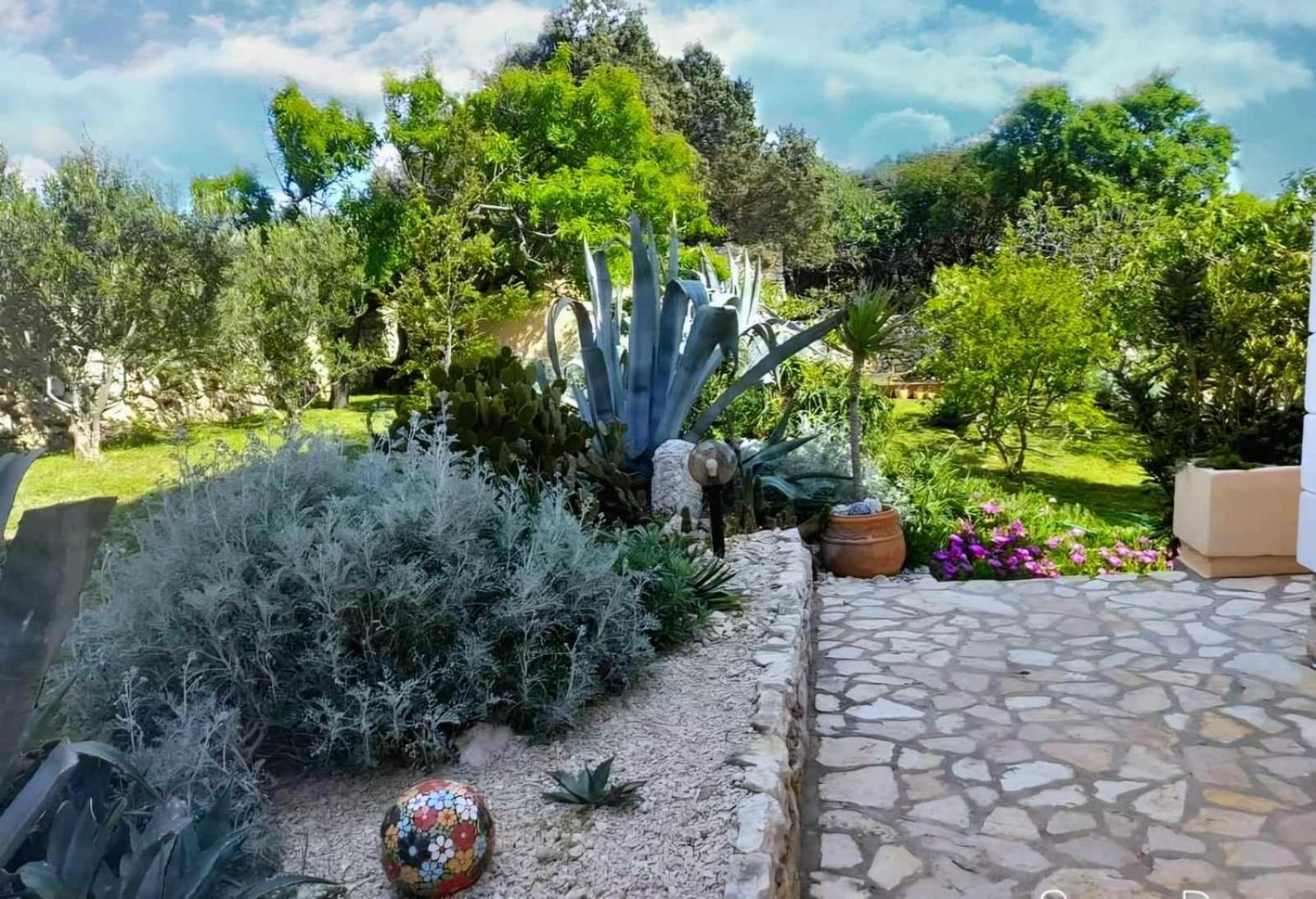 Villa Cesarica Novalja Dış mekan fotoğraf