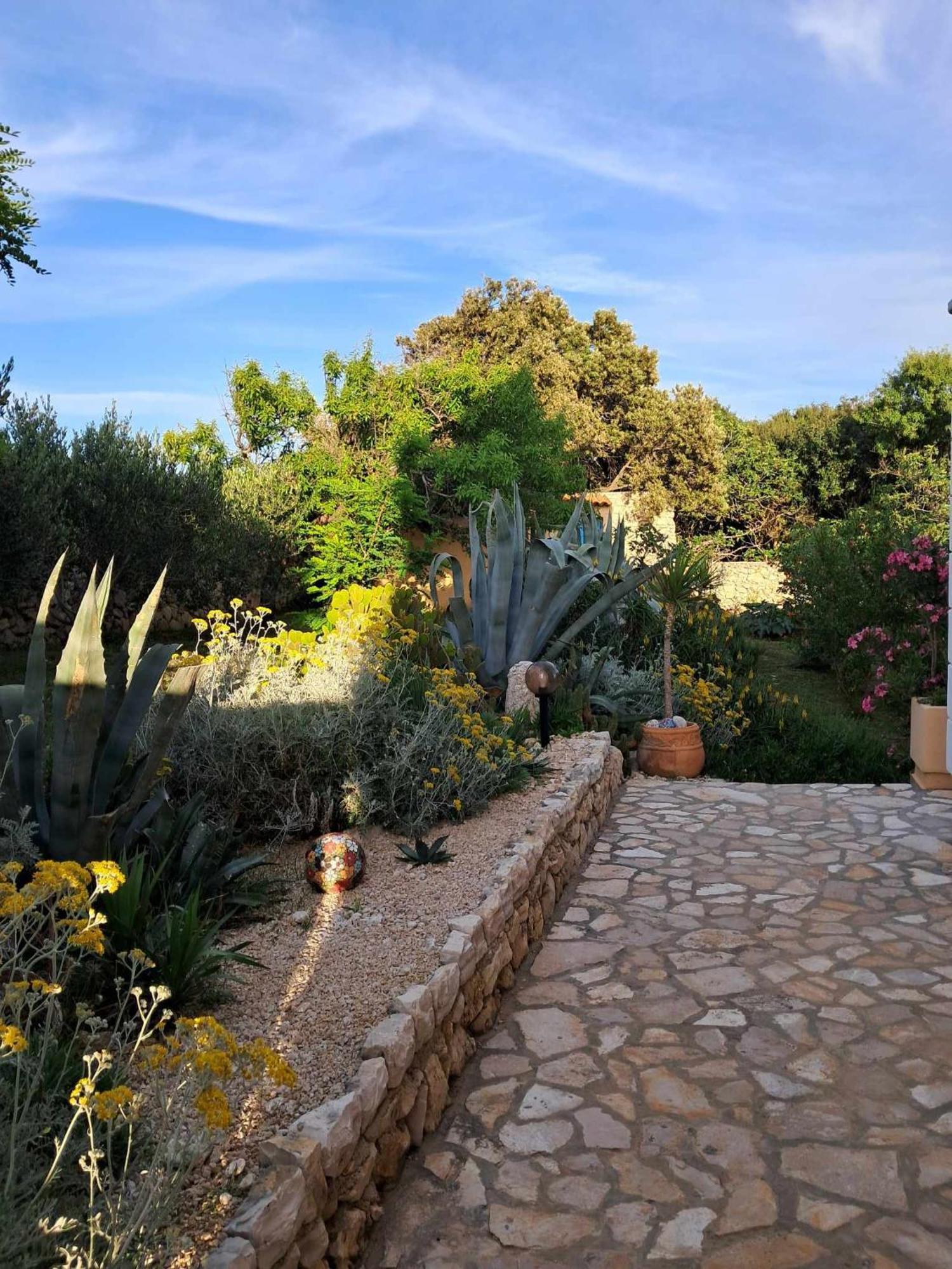 Villa Cesarica Novalja Dış mekan fotoğraf