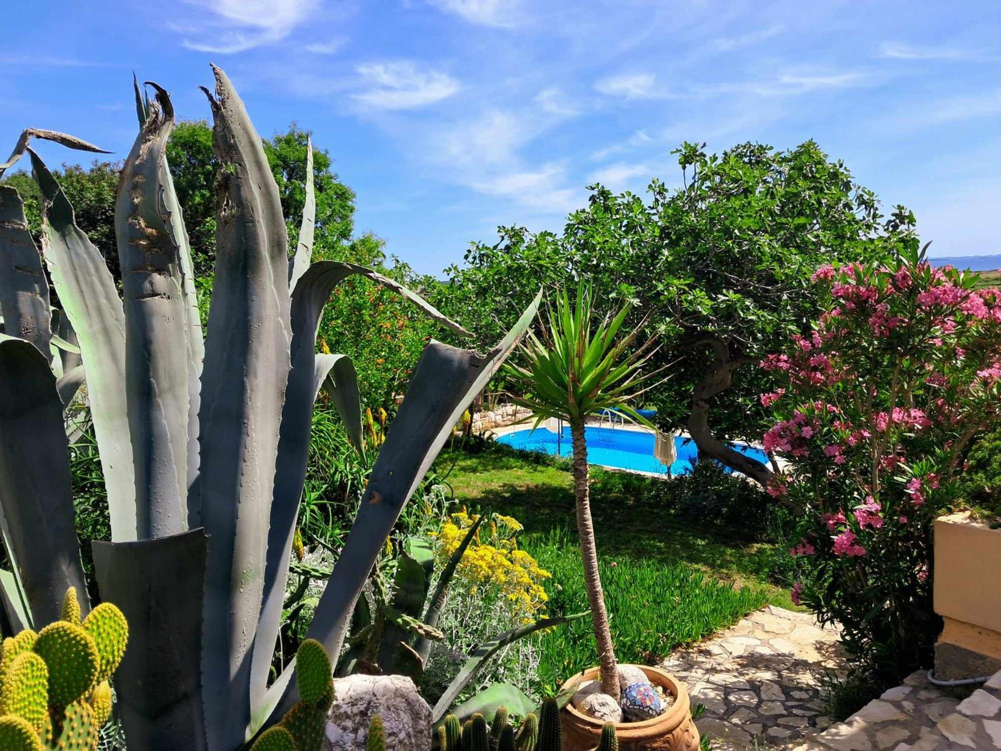 Villa Cesarica Novalja Dış mekan fotoğraf