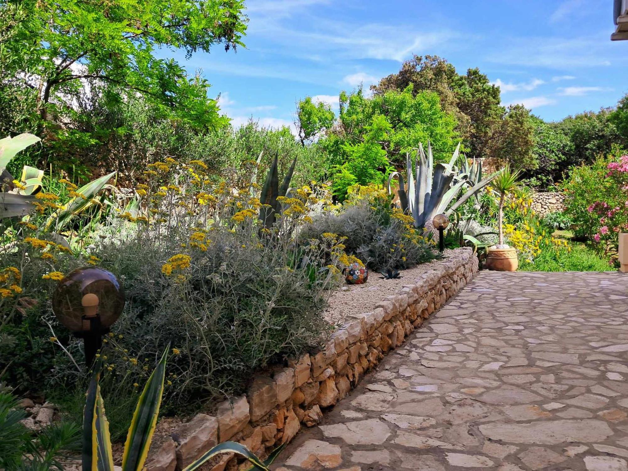 Villa Cesarica Novalja Dış mekan fotoğraf